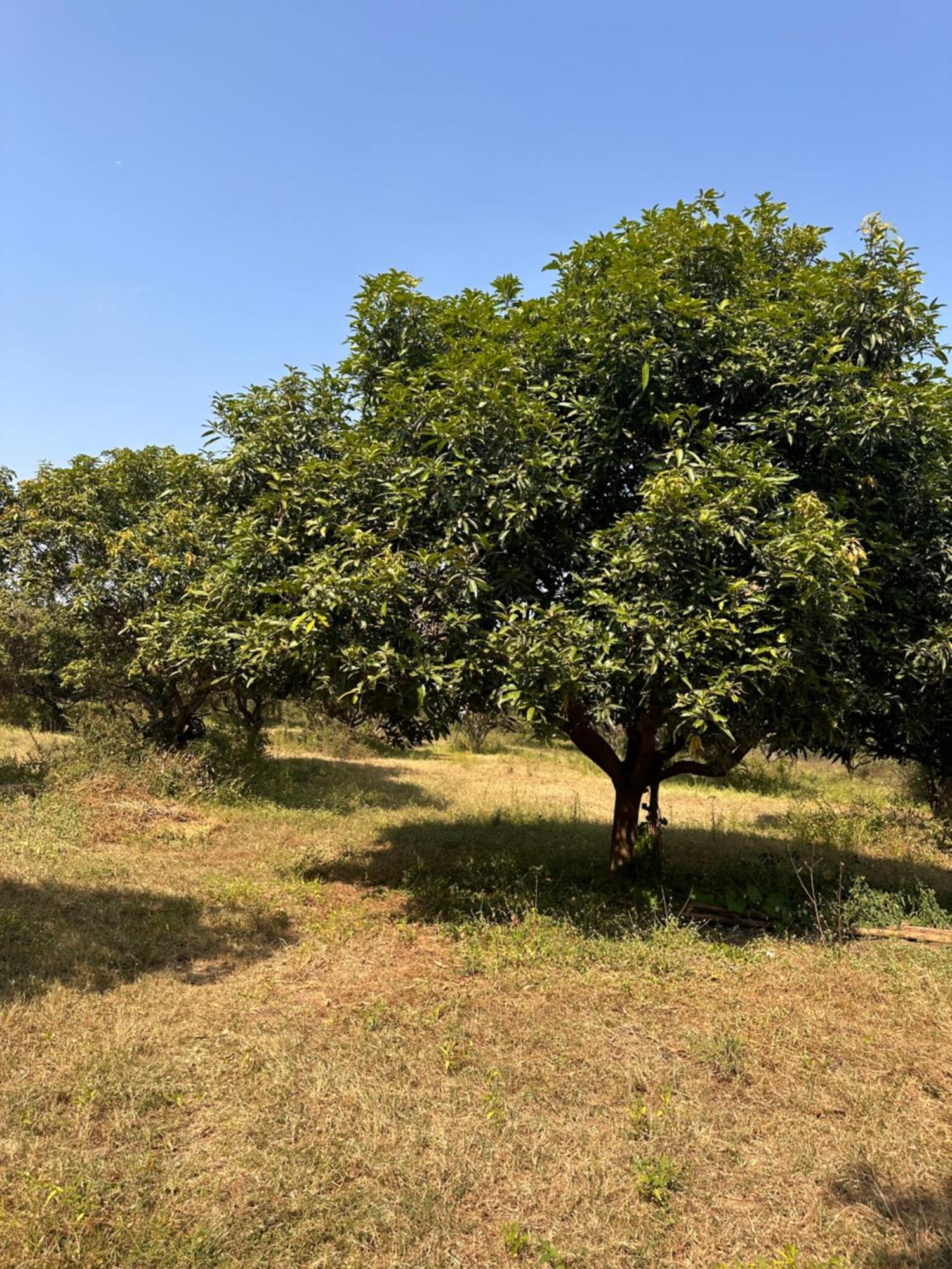 Pn Farm Villa Hyderabad Exterior photo
